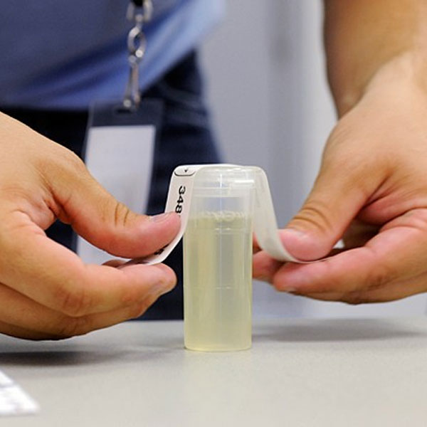 Do School Districts Drug Test Employees