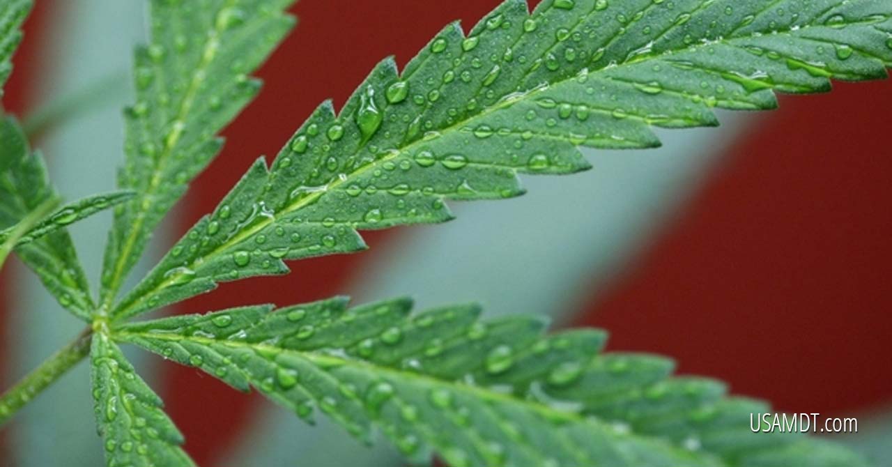 Shocker: Marijuana Recalled Over Unapproved, Dangerous Chemicals