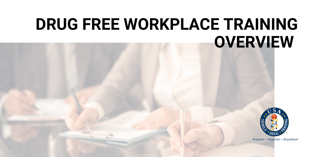 Drug Free Workplace Training Overview