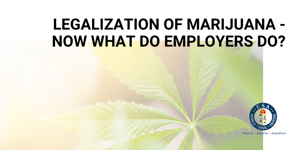 Legalization of marijuana - Now what do employers do