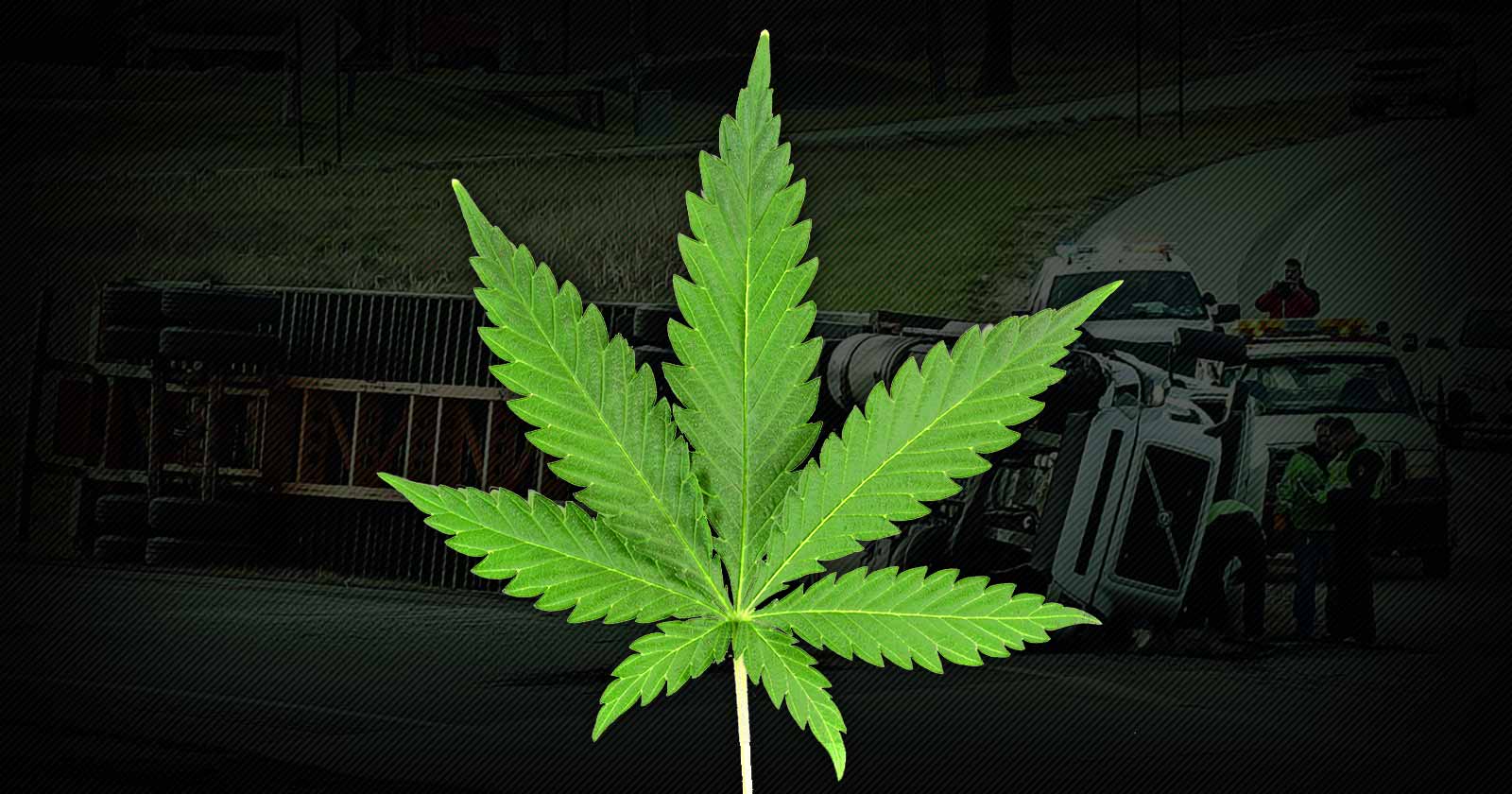 how legalized marijuana impacts Florida's trucking industry