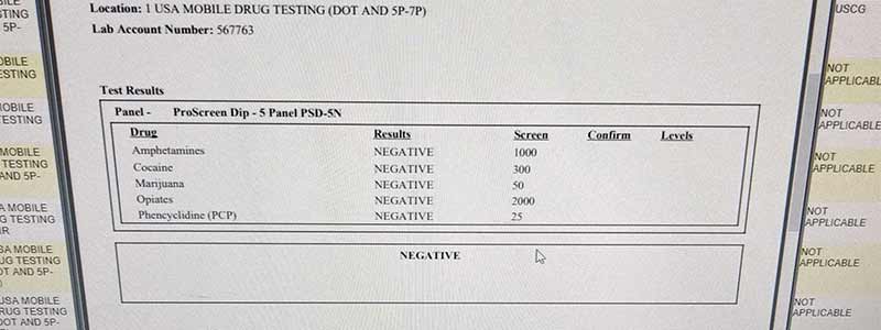 5 panel drug test results
