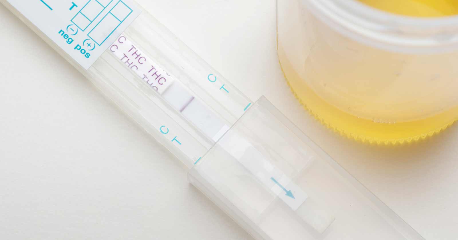 marijuana drug test results